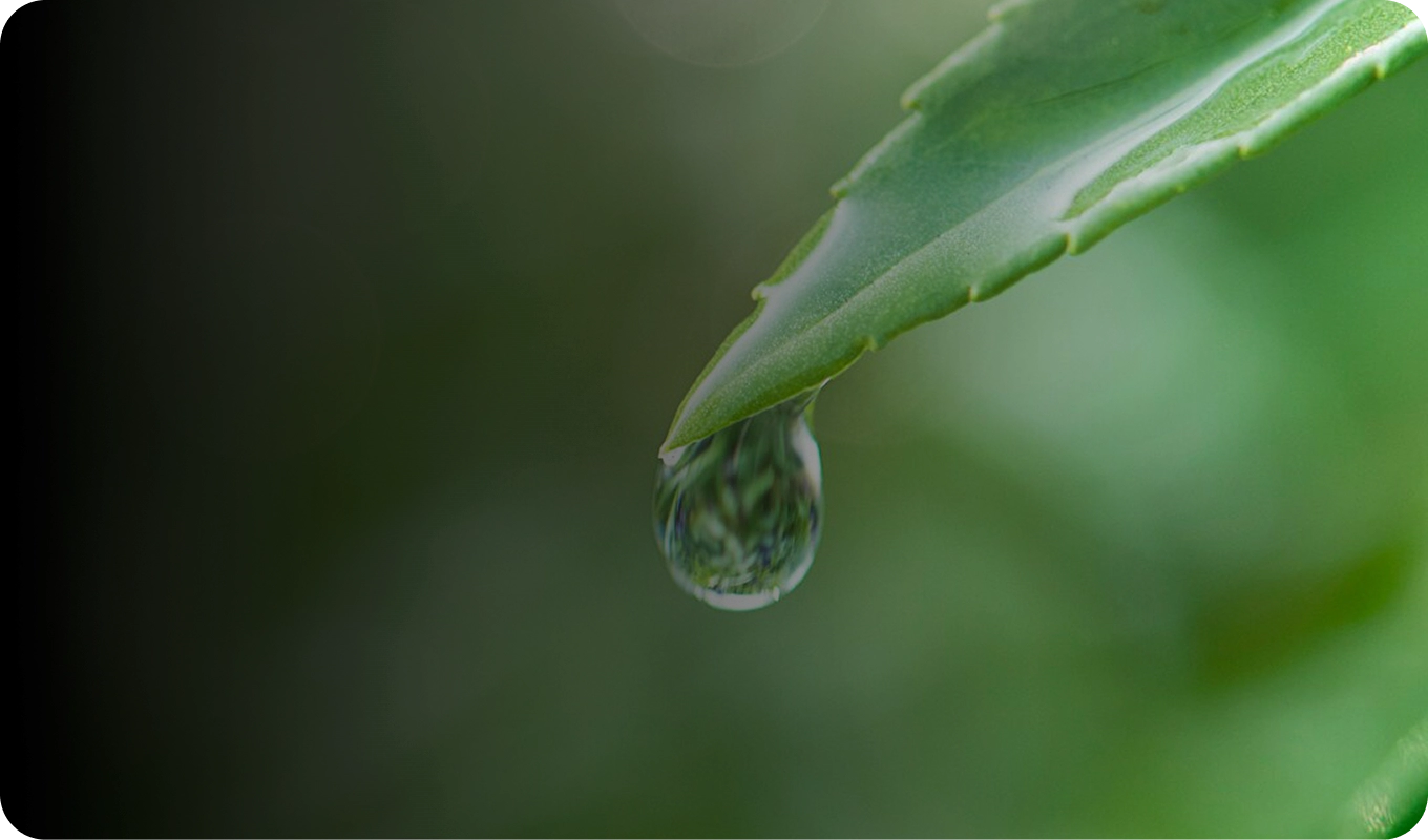 ZETTA X Mission - Embracing Sustainable Values