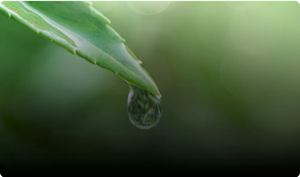 ZETTA X Mission - Embracing Sustainable Values