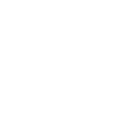 ZETTA X CE Category Information - EN388:2016 