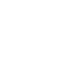 ZETTA X EN420 General requirements icon EN388