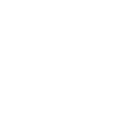 ZETTA X EN420 General requirements icon EN374-3