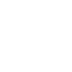 ZETTA X EN420 General requirements icon Hand Protection Standards