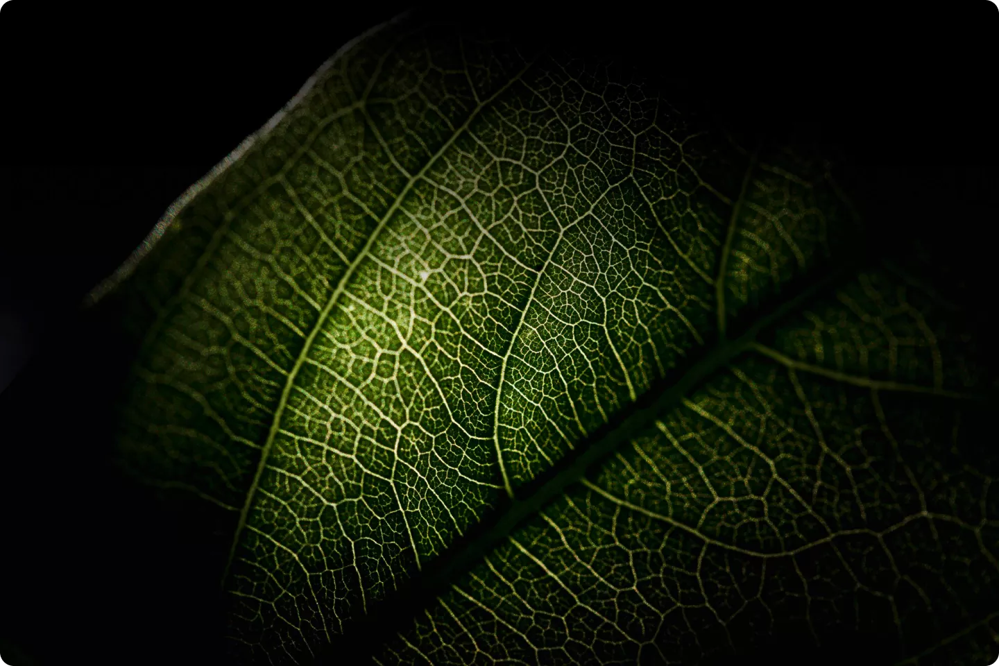 ZETTA X Research & development - Eco-Friendly Coating Technology