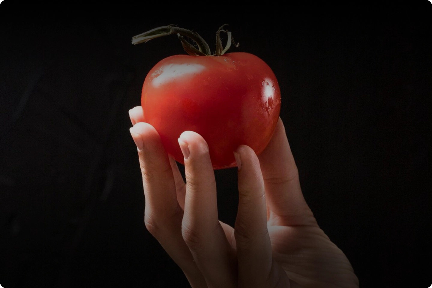 ZETTA X Research & development - Food Contact Safety Research